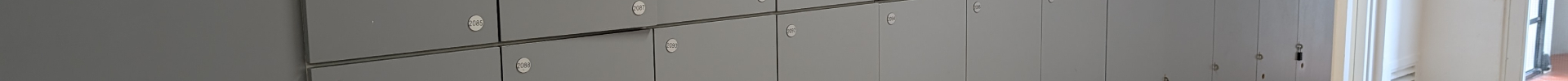 Préstec de guixetes